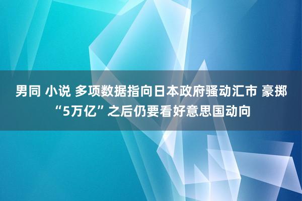 男同 小说 多项数据指向日本政府骚动汇市 豪掷“5万亿”之后仍要看好意思国动向