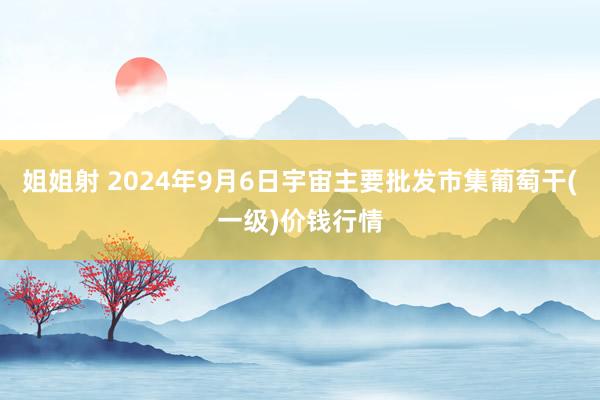 姐姐射 2024年9月6日宇宙主要批发市集葡萄干(一级)价钱行情