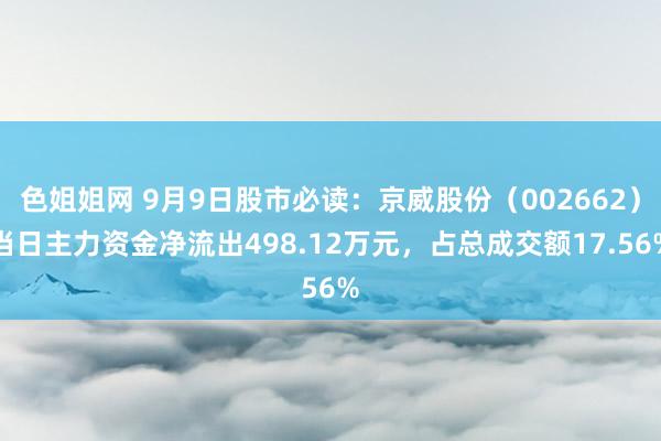 色姐姐网 9月9日股市必读：京威股份（002662）当日主力资金净流出498.12万元，占总成交额17.56%