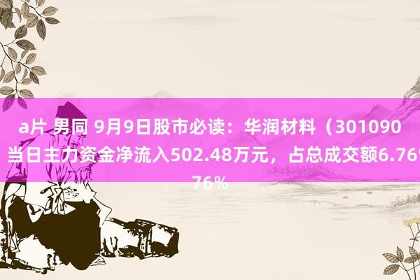 a片 男同 9月9日股市必读：华润材料（301090）当日主力资金净流入502.48万元，占总成交额6.76%