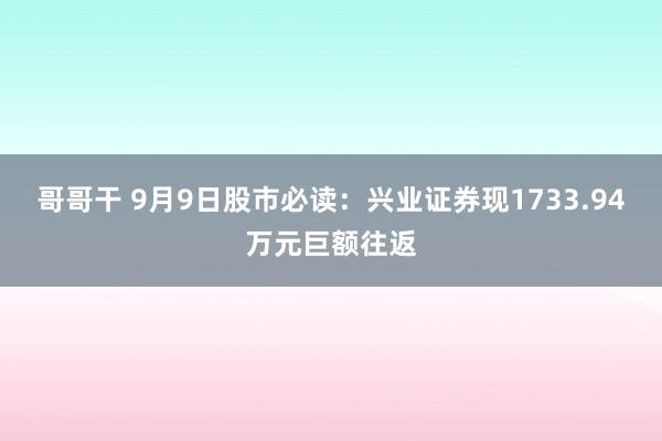 哥哥干 9月9日股市必读：兴业证券现1733.94万元巨额往返