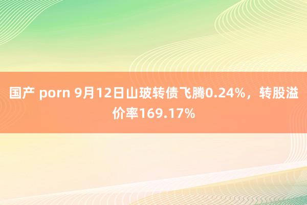 国产 porn 9月12日山玻转债飞腾0.24%，转股溢价率169.17%