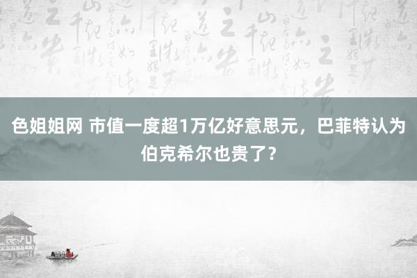 色姐姐网 市值一度超1万亿好意思元，巴菲特认为伯克希尔也贵了？