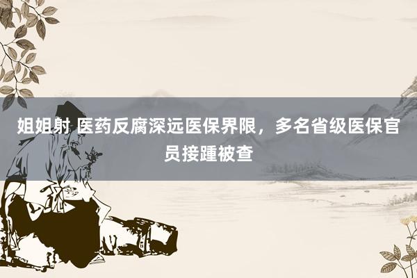 姐姐射 医药反腐深远医保界限，多名省级医保官员接踵被查