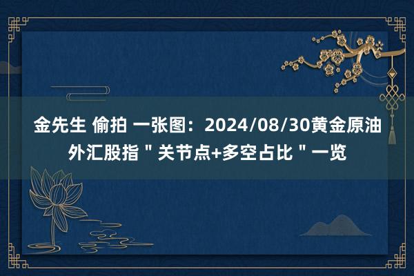 金先生 偷拍 一张图：2024/08/30黄金原油外汇股指＂关节点+多空占比＂一览