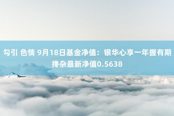 勾引 色情 9月18日基金净值：银华心享一年握有期搀杂最新净值0.5638