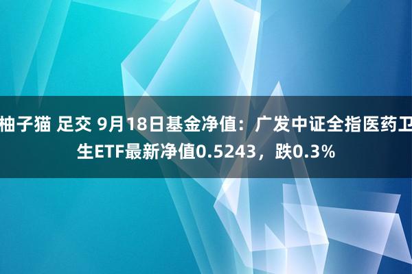 柚子猫 足交 9月18日基金净值：广发中证全指医药卫生ETF最新净值0.5243，跌0.3%