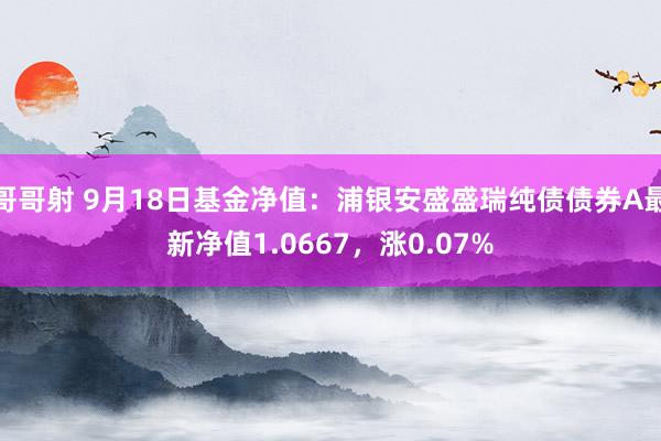 哥哥射 9月18日基金净值：浦银安盛盛瑞纯债债券A最新净值1.0667，涨0.07%