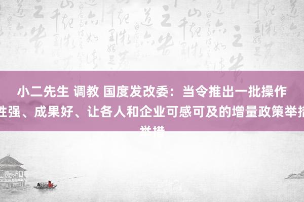 小二先生 调教 国度发改委：当令推出一批操作性强、成果好、让各人和企业可感可及的增量政策举措