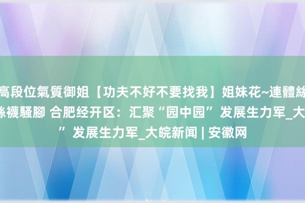 高段位氣質御姐【功夫不好不要找我】姐妹花~連體絲襪~大奶晃動~絲襪騷腳 合肥经开区：汇聚“园中园” 发展生力军_大皖新闻 | 安徽网