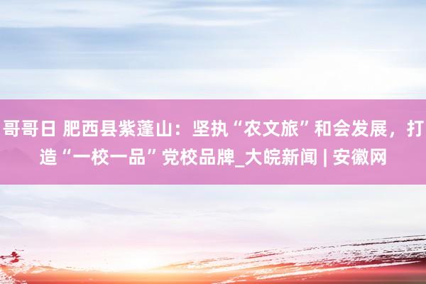 哥哥日 肥西县紫蓬山：坚执“农文旅”和会发展，打造“一校一品”党校品牌_大皖新闻 | 安徽网