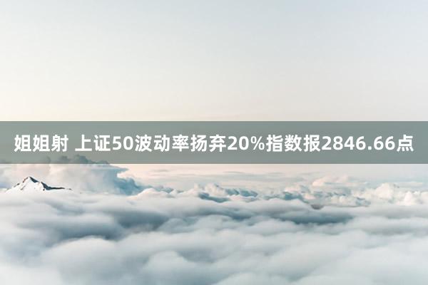 姐姐射 上证50波动率扬弃20%指数报2846.66点