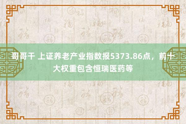 哥哥干 上证养老产业指数报5373.86点，前十大权重包含恒瑞医药等