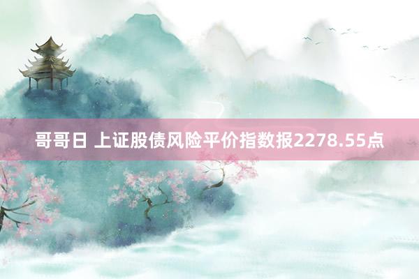 哥哥日 上证股债风险平价指数报2278.55点