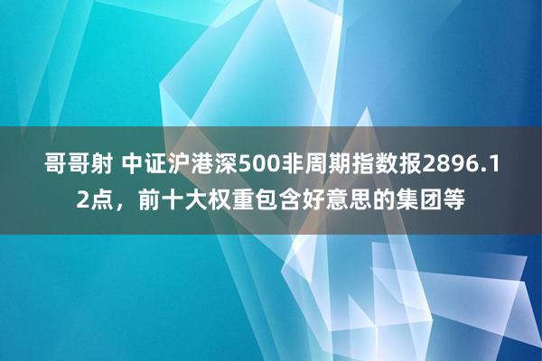 哥哥射 中证沪港深500非周期指数报2896.12点，前十大权重包含好意思的集团等