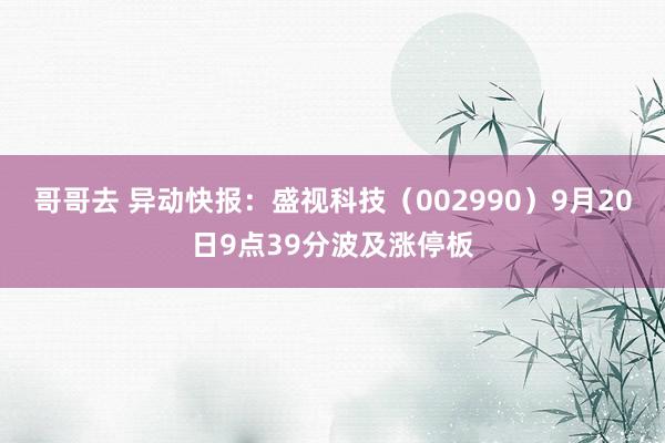 哥哥去 异动快报：盛视科技（002990）9月20日9点39分波及涨停板