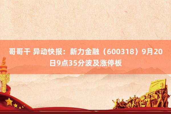 哥哥干 异动快报：新力金融（600318）9月20日9点35分波及涨停板