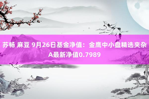 苏畅 麻豆 9月26日基金净值：金鹰中小盘精选夹杂A最新净值0.7989