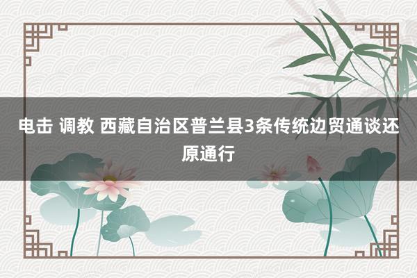 电击 调教 西藏自治区普兰县3条传统边贸通谈还原通行