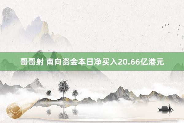 哥哥射 南向资金本日净买入20.66亿港元