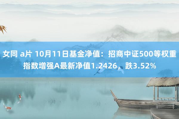 女同 a片 10月11日基金净值：招商中证500等权重指数增强A最新净值1.2426，跌3.52%