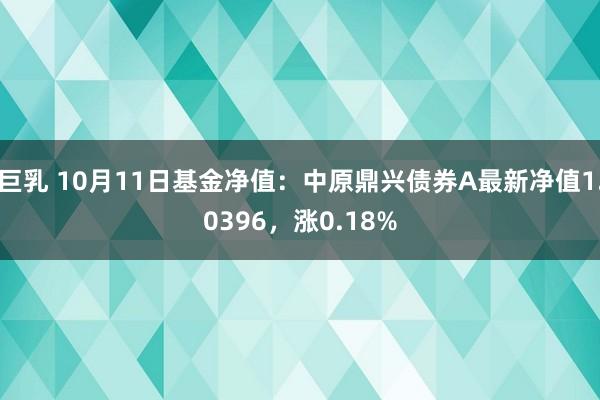 巨乳 10月11日基金净值：中原鼎兴债券A最新净值1.0396，涨0.18%