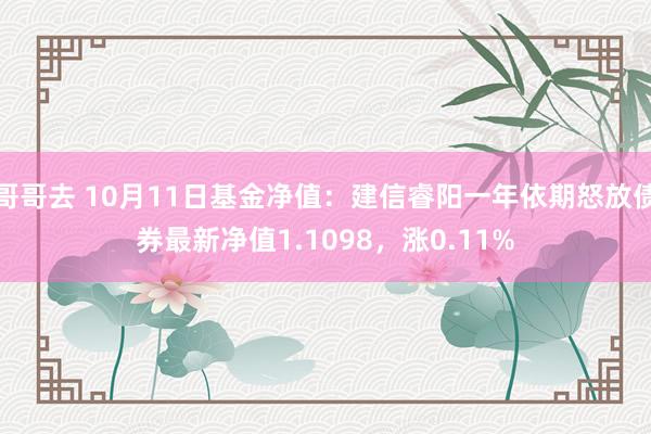 哥哥去 10月11日基金净值：建信睿阳一年依期怒放债券最新净值1.1098，涨0.11%