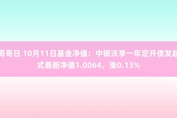 哥哥日 10月11日基金净值：中银沃享一年定开债发起式最新净值1.0064，涨0.13%