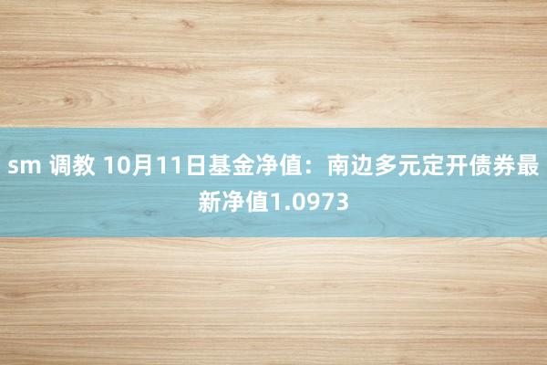 sm 调教 10月11日基金净值：南边多元定开债券最新净值1.0973