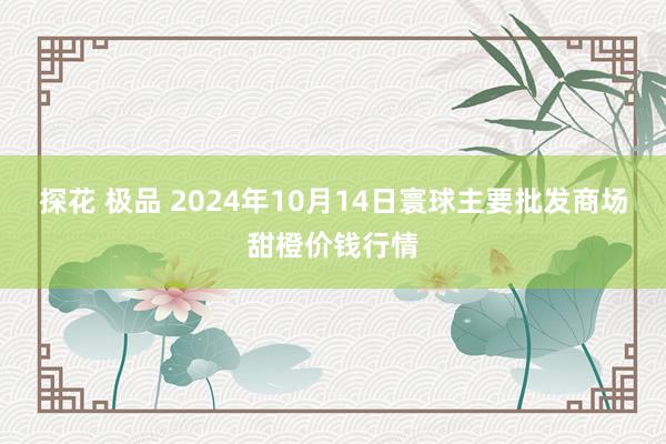 探花 极品 2024年10月14日寰球主要批发商场甜橙价钱行情