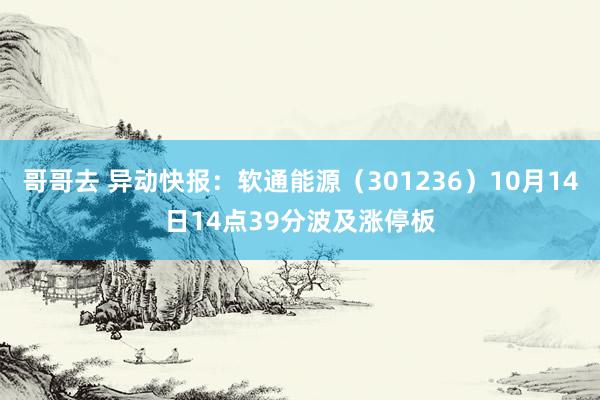 哥哥去 异动快报：软通能源（301236）10月14日14点39分波及涨停板