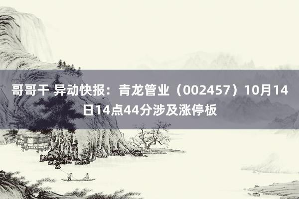 哥哥干 异动快报：青龙管业（002457）10月14日14点44分涉及涨停板