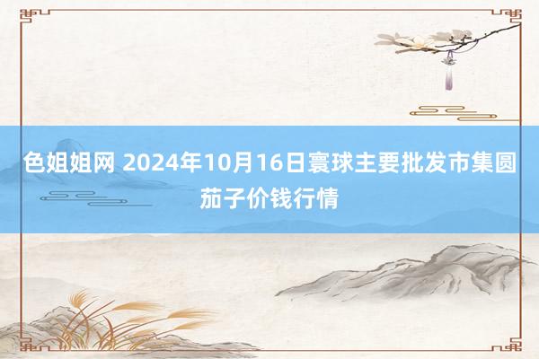 色姐姐网 2024年10月16日寰球主要批发市集圆茄子价钱行情