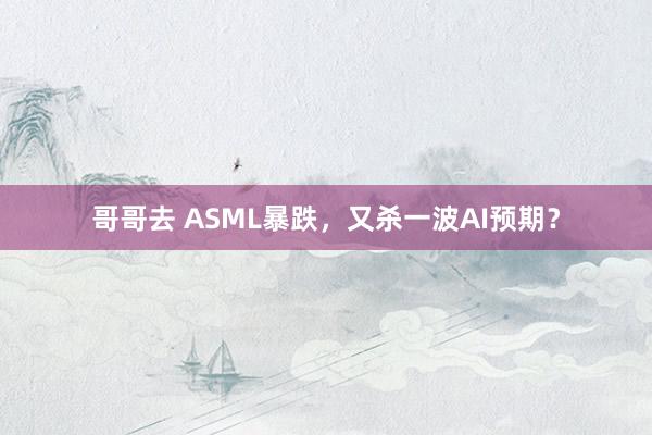 哥哥去 ASML暴跌，又杀一波AI预期？