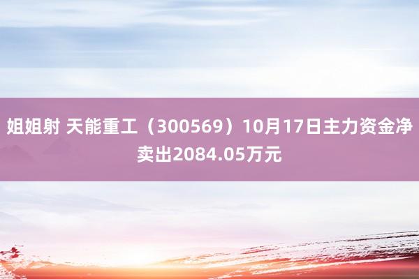 姐姐射 天能重工（300569）10月17日主力资金净卖出2084.05万元