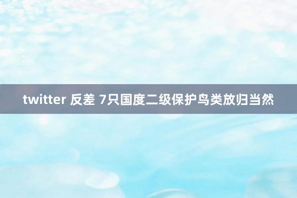 twitter 反差 7只国度二级保护鸟类放归当然