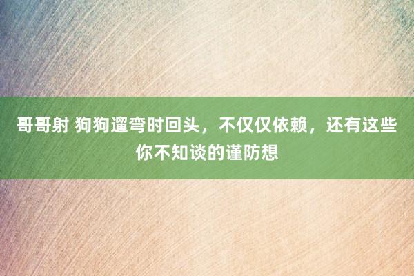 哥哥射 狗狗遛弯时回头，不仅仅依赖，还有这些你不知谈的谨防想