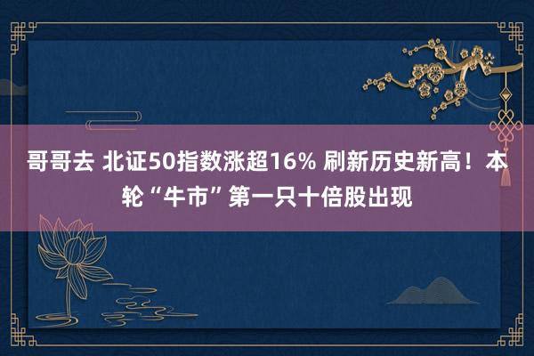 哥哥去 北证50指数涨超16% 刷新历史新高！本轮“牛市”第一只十倍股出现