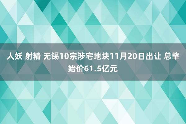 人妖 射精 无锡10宗涉宅地块11月20日出让 总肇始价61.5亿元