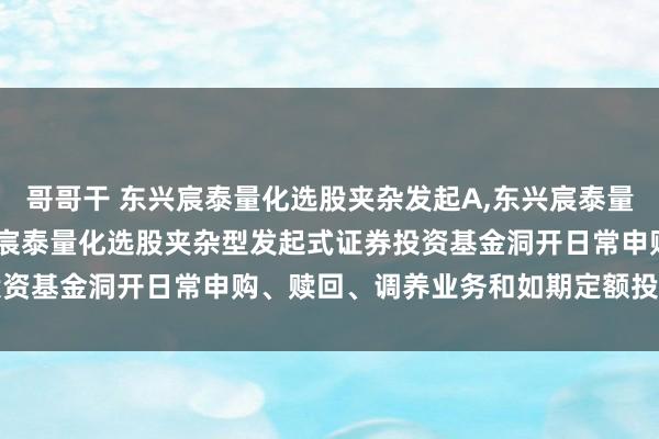 哥哥干 东兴宸泰量化选股夹杂发起A，东兴宸泰量化选股夹杂发起C: 东兴宸泰量化选股夹杂型发起式证券投资基金洞开日常申购、赎回、调养业务和如期定额投资的公告