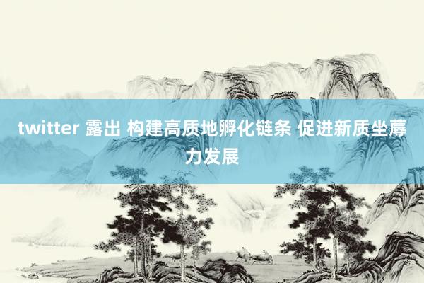 twitter 露出 构建高质地孵化链条 促进新质坐蓐力发展