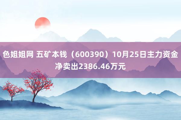 色姐姐网 五矿本钱（600390）10月25日主力资金净卖出2386.46万元