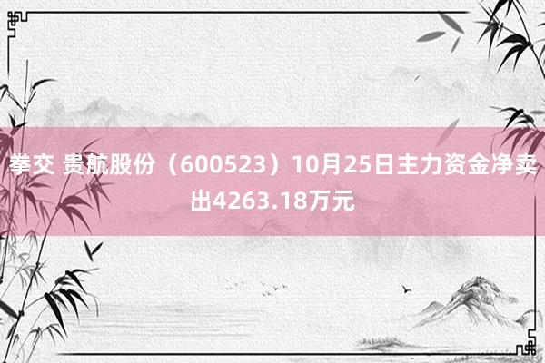 拳交 贵航股份（600523）10月25日主力资金净卖出4263.18万元