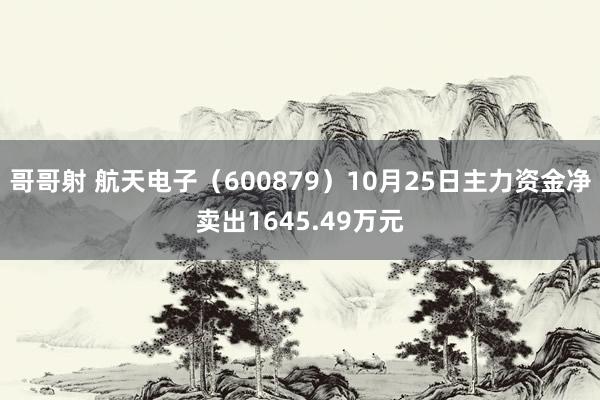 哥哥射 航天电子（600879）10月25日主力资金净卖出1645.49万元