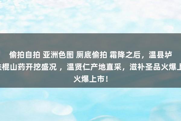 偷拍自拍 亚洲色图 厕底偷拍 霜降之后，温县垆土铁棍山药开挖盛况 ，温贤仁产地直采，滋补圣品火爆上市！