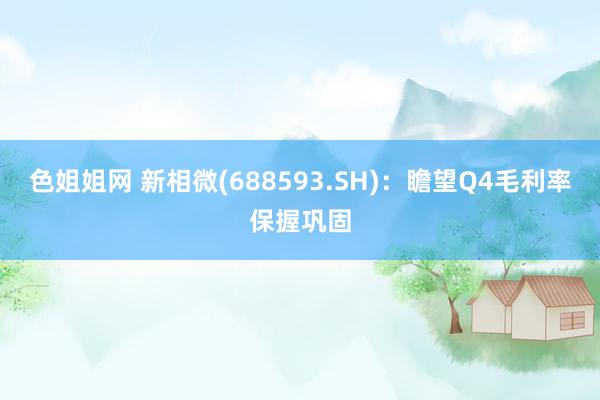 色姐姐网 新相微(688593.SH)：瞻望Q4毛利率保握巩固