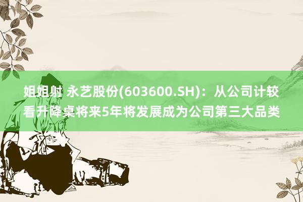 姐姐射 永艺股份(603600.SH)：从公司计较看升降桌将来5年将发展成为公司第三大品类