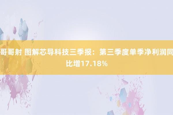 哥哥射 图解芯导科技三季报：第三季度单季净利润同比增17.18%