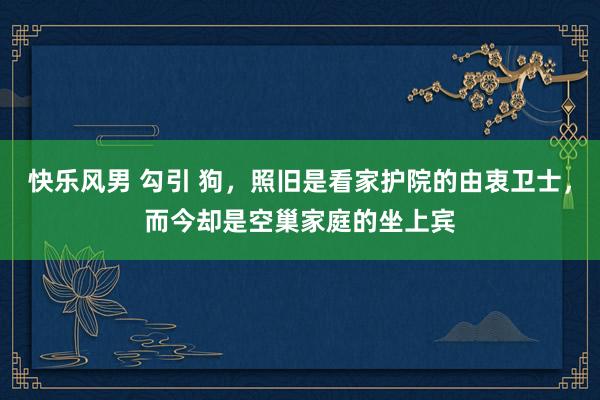 快乐风男 勾引 狗，照旧是看家护院的由衷卫士，而今却是空巢家庭的坐上宾