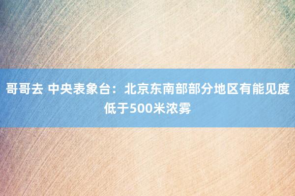 哥哥去 中央表象台：北京东南部部分地区有能见度低于500米浓雾